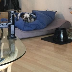 Meet your Posher, Patrick